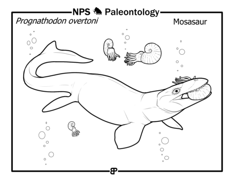 Mosasaur (Proganthodon Overtoni) Coloring Page